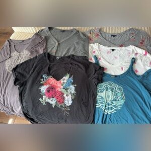 6pk Torrid Bundle